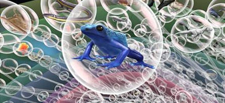 Affiche Cabinet de réalité virtuelle au muséum national d'histoire naturelle