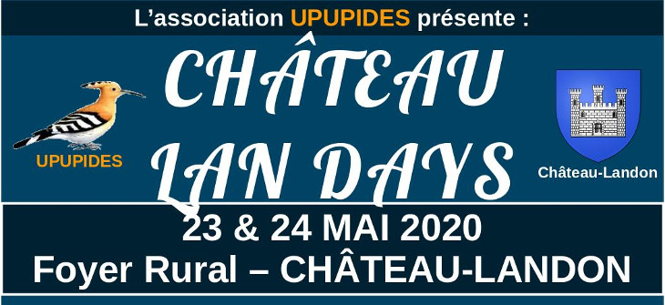 Affiche Château LAN Days 2020
