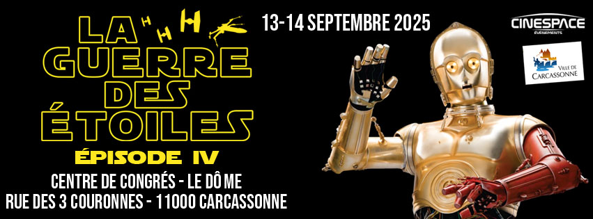 Affiche Salon La Guerre des Étoiles Affiche Salon La Guerre des Étoiles