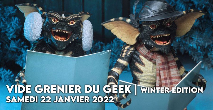 Affiche Vide Grenier du Geek Lyon 2022 - Winter Edition
