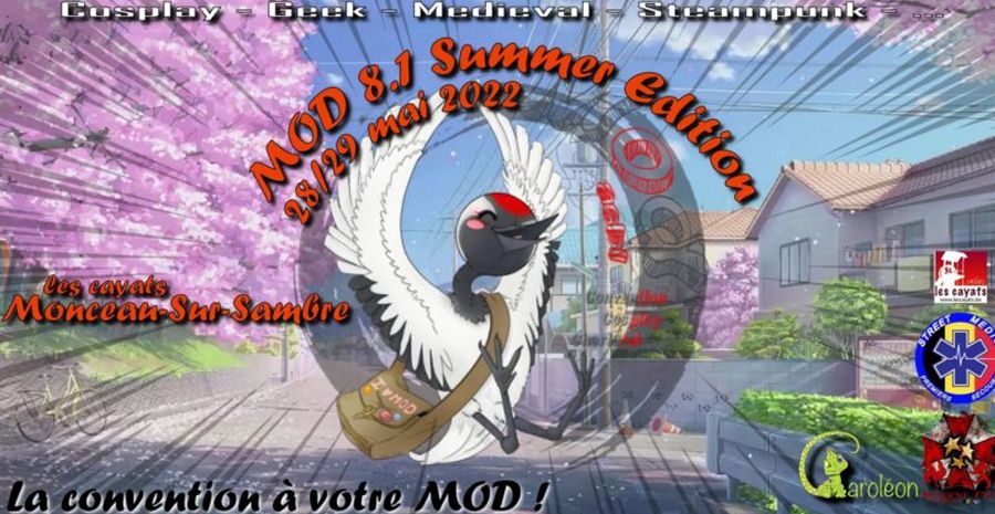 Affiche MOD 8.1 Summer Edition Affiche MOD 8.1 Summer Edition