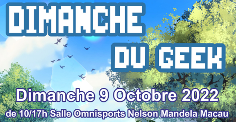 Affiche Dimanche Du Geek - Vide Grenier Geek