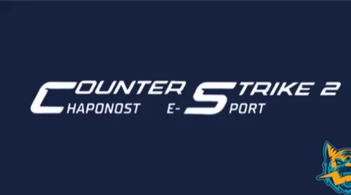 Affiche Chaponost Counter Strike