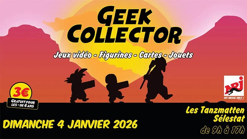 Affiche Geek Collector Sélestat