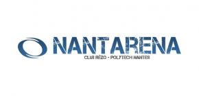 Affiche LAN Nantarena 15.1 - Le Club Rézo de Polytech Nantes