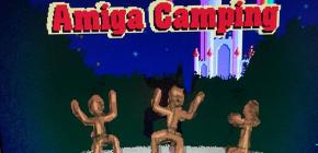 Affiche Amiga Camping 2017