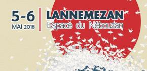 L’Association ARTHESIA organisera les 5 et 6 mai 2018 la cinquième édition du festival de Culture asiatique des Hautes Pyrénées. L’événement aura lieu dans la Ville de Lannemezan (65), dans l’Espace Nebouzan avec à l’honneur : la culture asiatique, le jeu vidéo, le manga et la science fiction.
