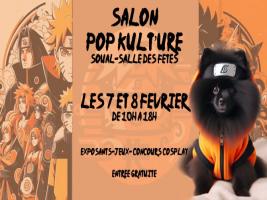 Affiche Salon Pop Kulture 2026