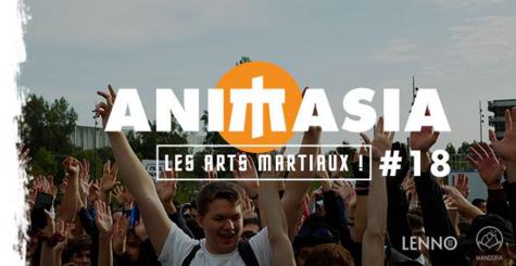Festival Animasia Bordeaux 2022 - Les arts martiaux