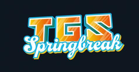 TGS Springbreak 2023 - édition de printemps du Toulouse Game Show