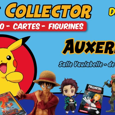 Geek Collector - Auxerre 2026
