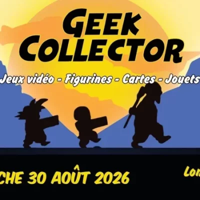 Geek Collector - Lons-le-Saunier