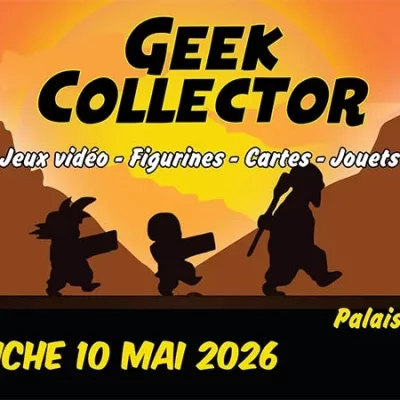 Geek Collector Remiremont